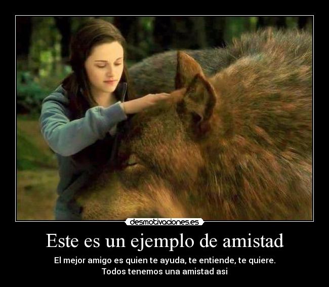 Este es un ejemplo de amistad -