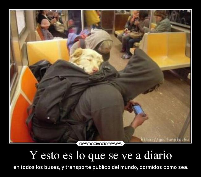 Y esto es lo que se ve a diario - 