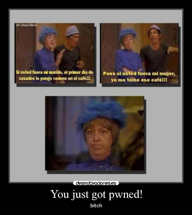 You just got pwned! - bitch