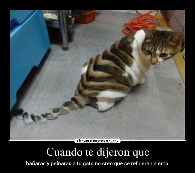 carteles  desmotivaciones