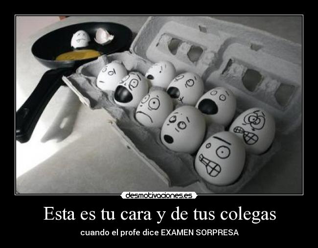 Esta es tu cara y de tus colegas - 