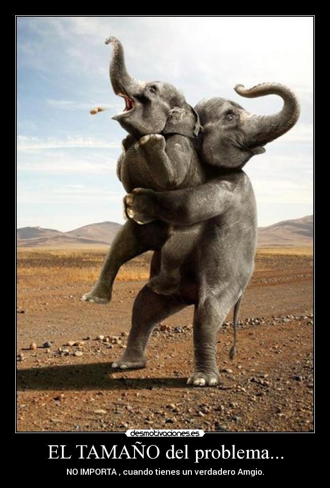 EL TAMAÑO del problema... - 