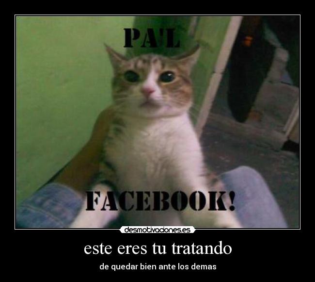 este eres tu tratando - de quedar bien ante los demas