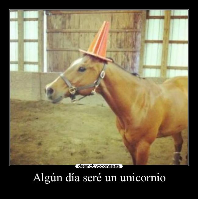 carteles unicornio algun dia desmotivaciones