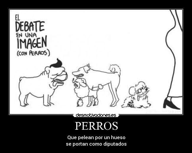 PERROS - Que pelean por un hueso
se portan como diputados