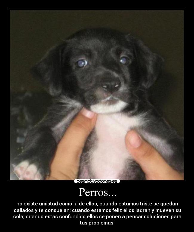 carteles yan desmotivaciones