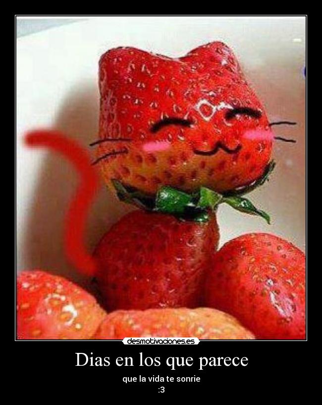 Dias en los que parece - 