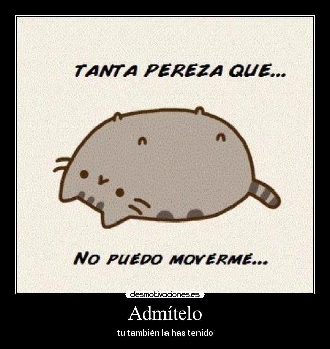 Admítelo - tu también la has tenido