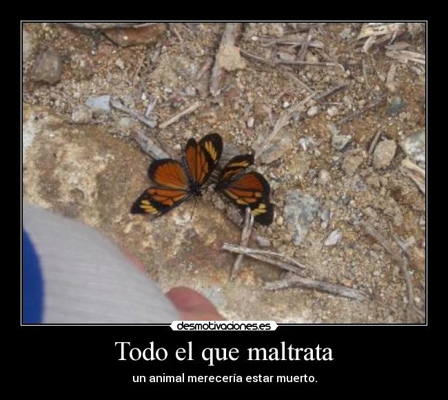 Todo el que maltrata - un animal merecería estar muerto.
