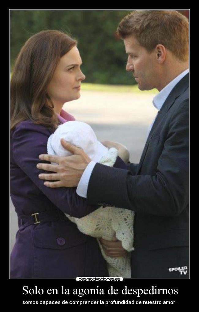 Solo en la agonía de despedirnos - somos capaces de comprender la profundidad de nuestro amor .