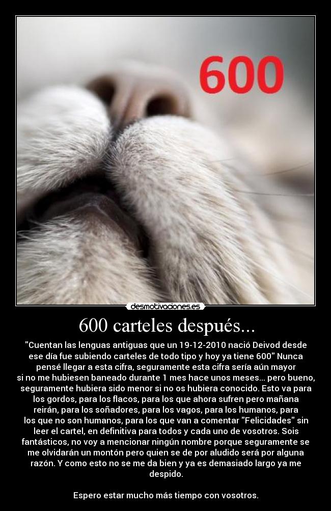 carteles deivod 600 carteles 600 iii forevercat iii minino guaposo desmotivaciones