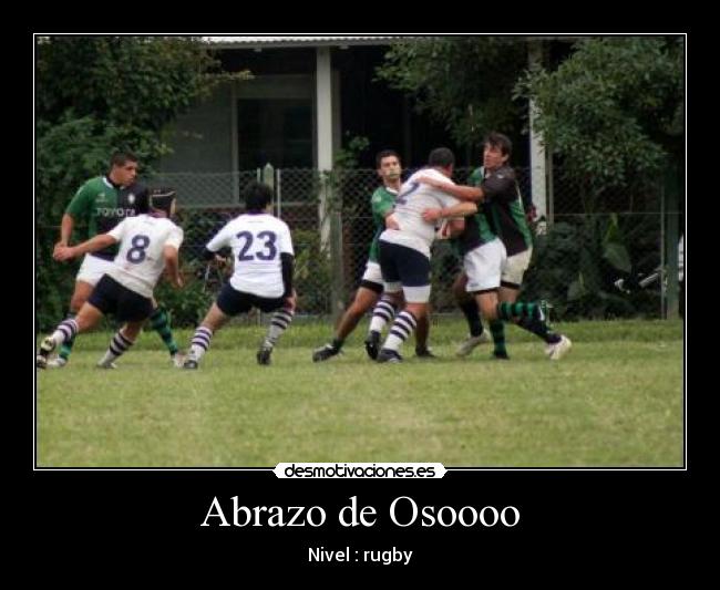 Abrazo de Osoooo - Nivel : rugby