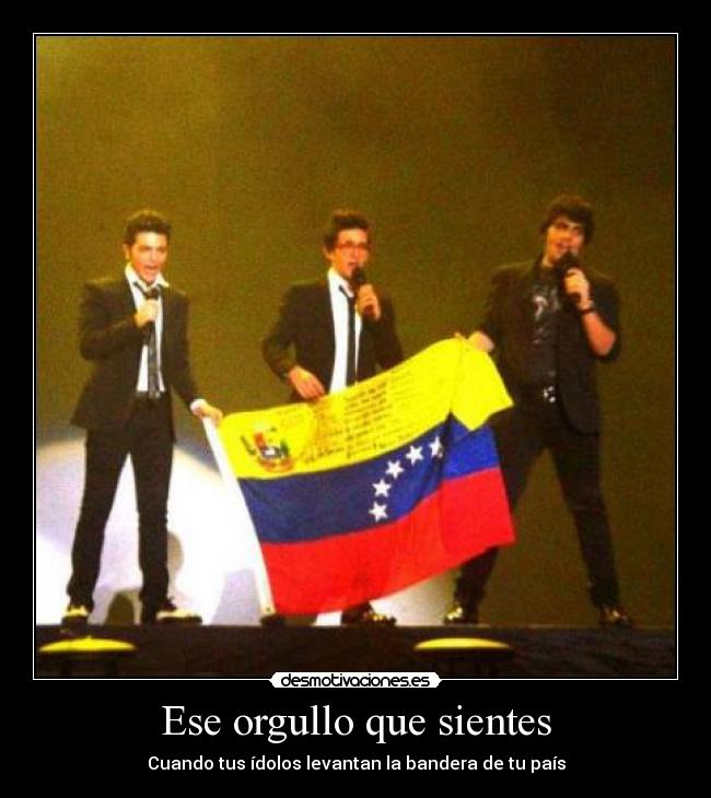 carteles volo venezuela desmotivaciones