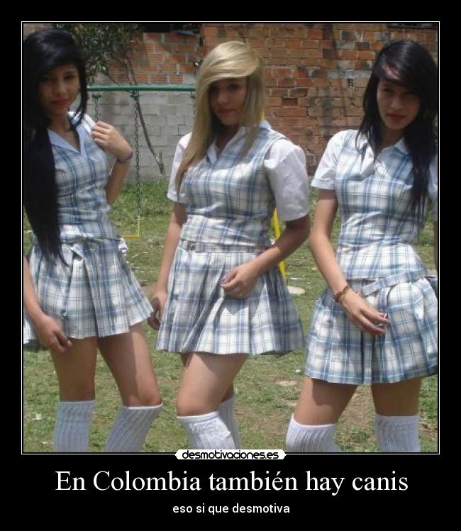 En Colombia también hay canis - eso si que desmotiva
