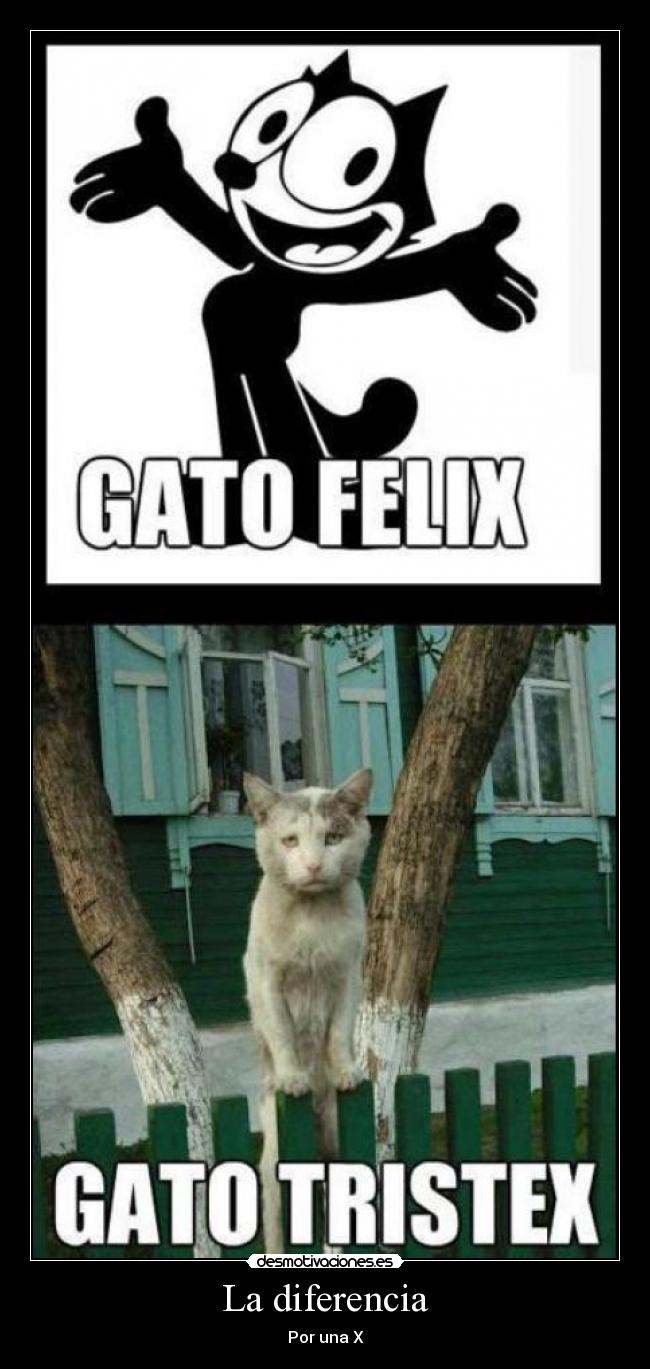 La diferencia - Por una X
