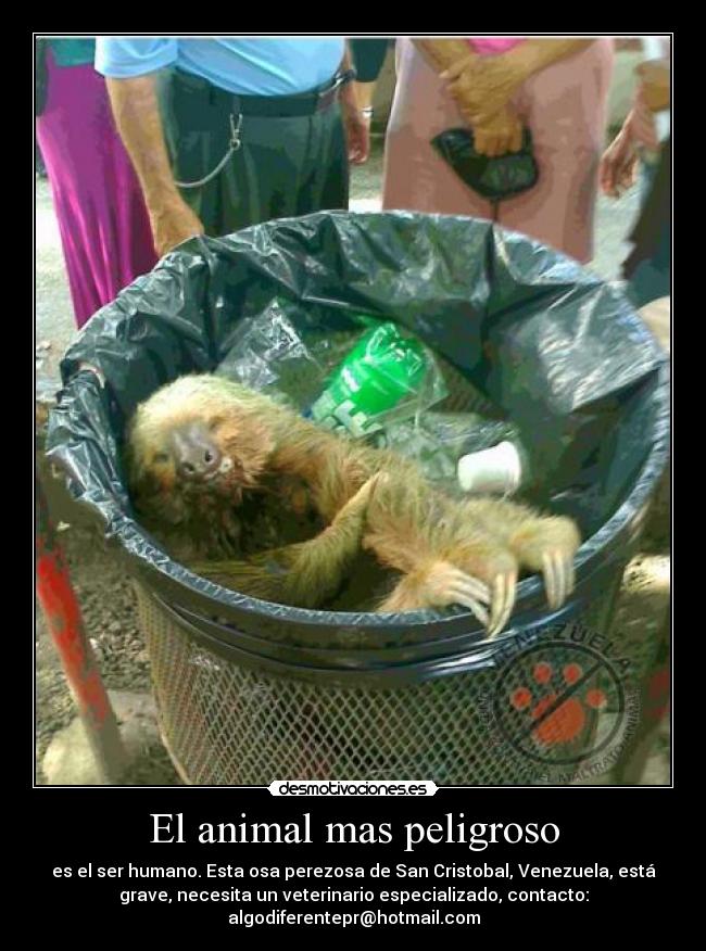 El animal mas peligroso -