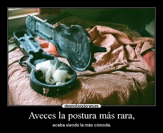 Aveces la postura más rara, -