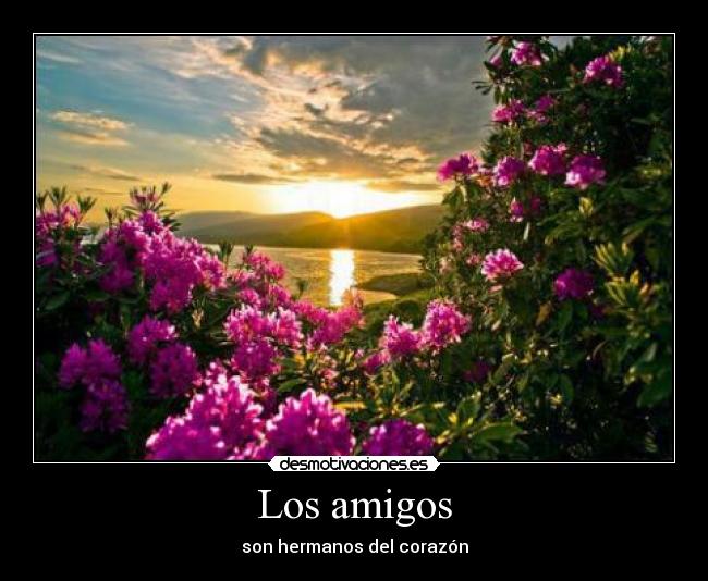 Los amigos - son hermanos del corazón