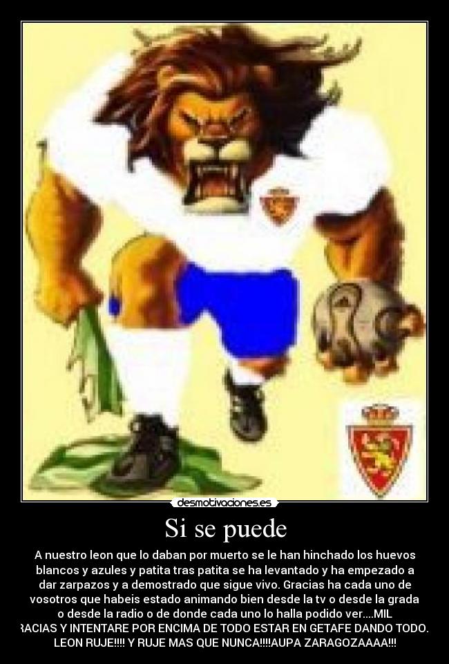 Si se puede - A nuestro leon que lo daban por muerto se le han hinchado los huevos
blancos y azules y patita tras patita se ha levantado y ha empezado a
dar zarpazos y a demostrado que sigue vivo. Gracias ha cada uno de
vosotros que habeis estado animando bien desde la tv o desde la grada
o desde la radio o de donde cada uno lo halla podido ver....MIL
GRACIAS Y INTENTARE POR ENCIMA DE TODO ESTAR EN GETAFE DANDO TODO.EL
LEON RUJE!!!! Y RUJE MAS QUE NUNCA!!!!AUPA ZARAGOZAAAA!!!