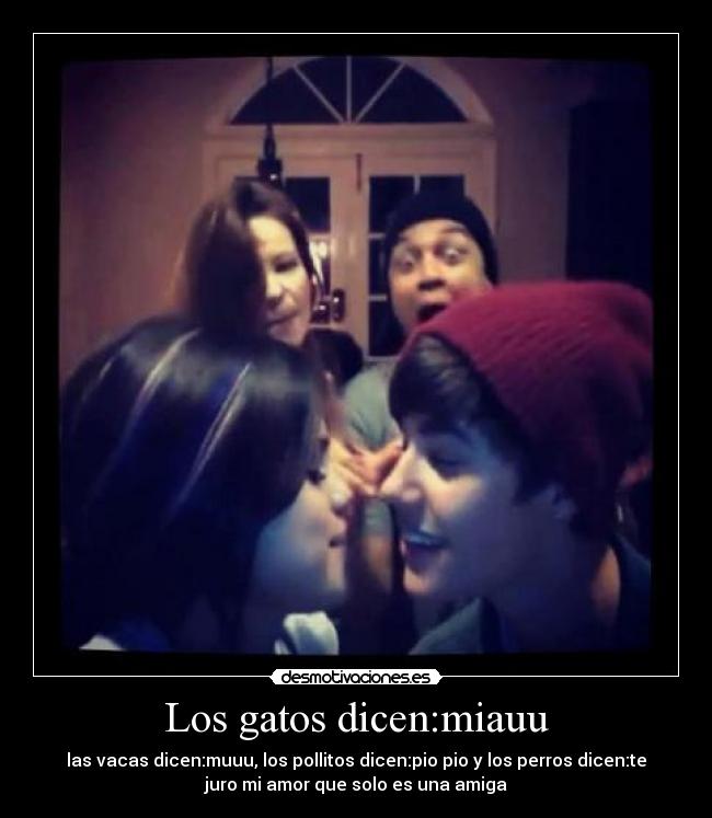 Los gatos dicen:miauu - las vacas dicen:muuu, los pollitos dicen:pio pio y los perros dicen:te
juro mi amor que solo es una amiga
