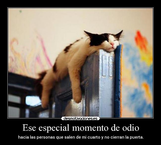 Ese especial momento de odio - hacia las personas que salen de mi cuarto y no cierran la puerta.