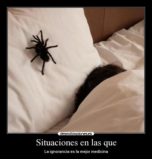 Situaciones en las que -