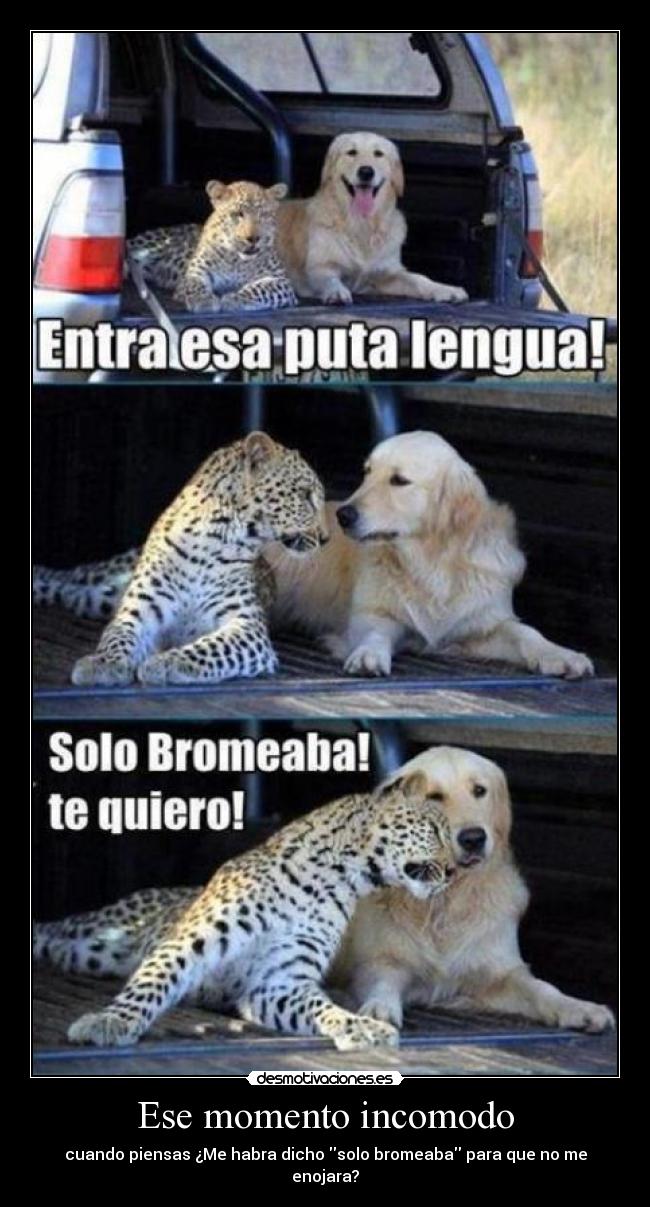 Ese momento incomodo - cuando piensas ¿Me habra dicho solo bromeaba para que no me enojara?