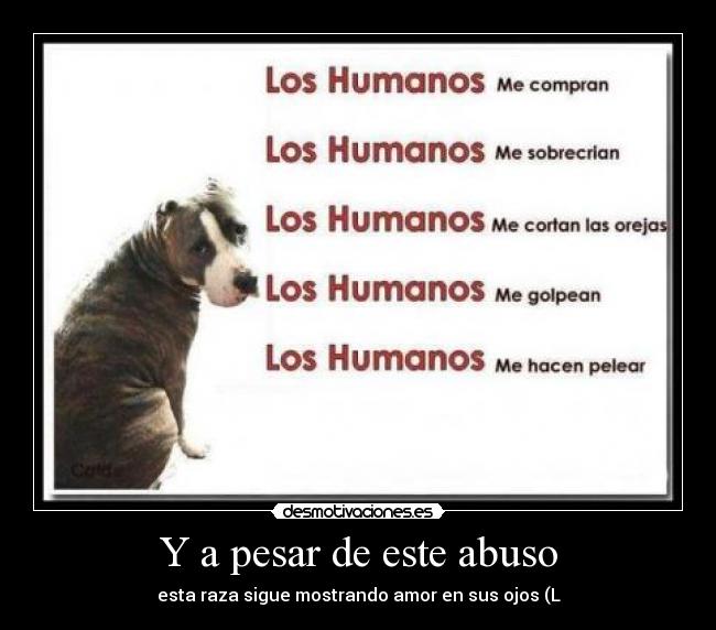 Y a pesar de este abuso - esta raza sigue mostrando amor en sus ojos (L