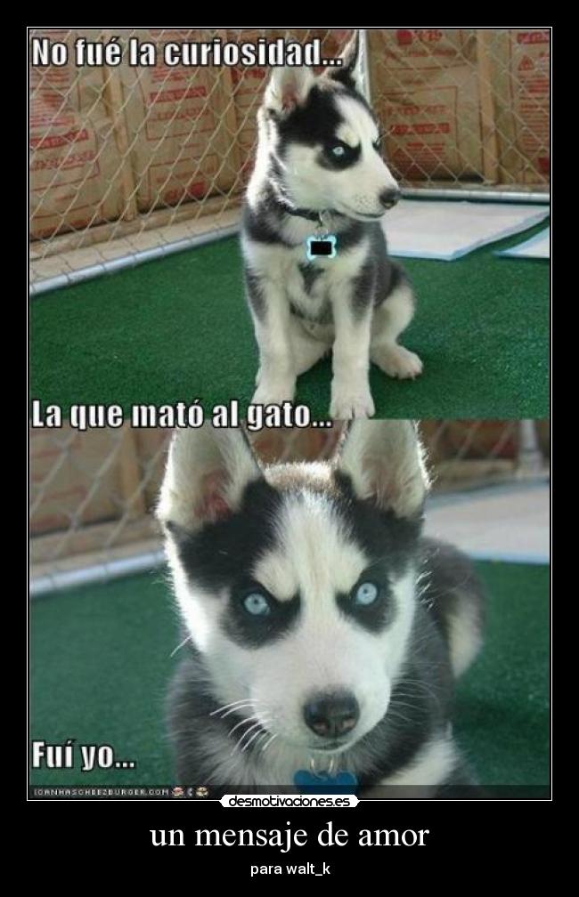 un mensaje de amor - 