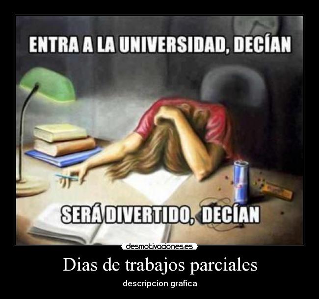 Dias de trabajos parciales -