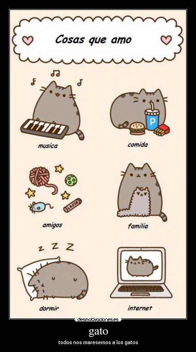 gato - todos nos maresemos a los gatos