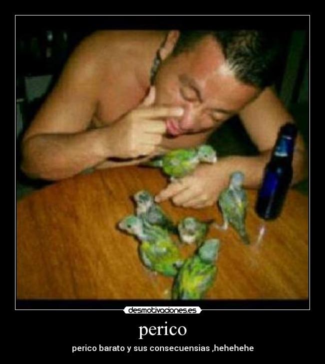 perico -