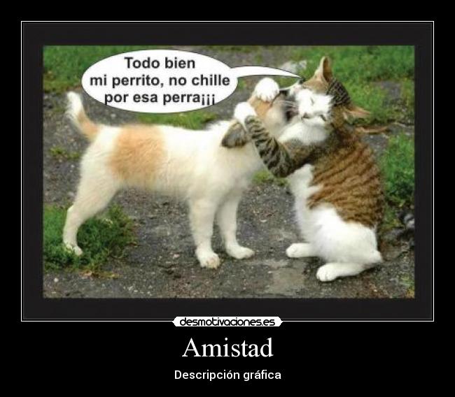 Amistad - Descripción gráfica
