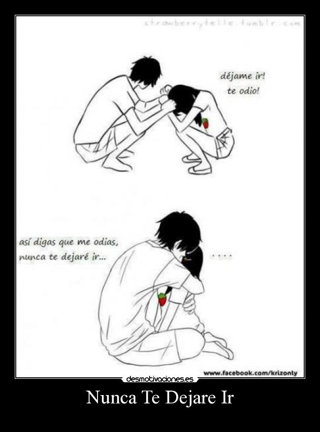 Nunca Te Dejare Ir -