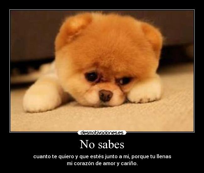 No sabes - 