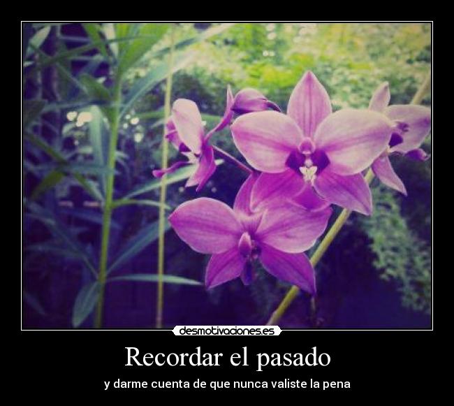 Recordar el pasado -