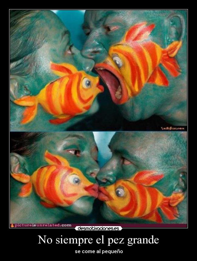 No siempre el pez grande - se come al pequeño