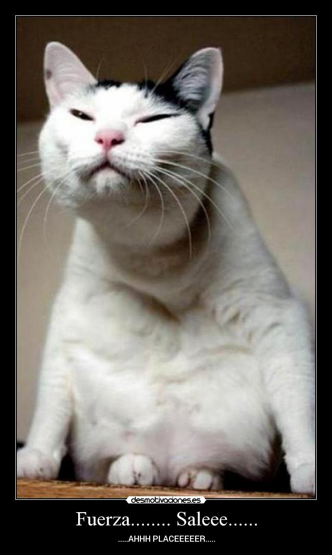 Fuerza........ Saleee...... -