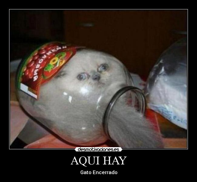 AQUI HAY -