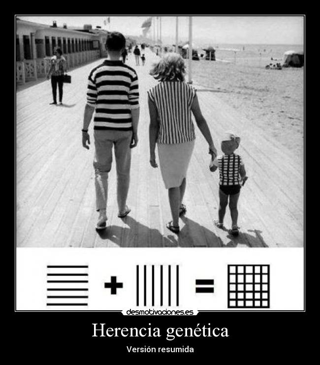 Herencia genética - Versión resumida