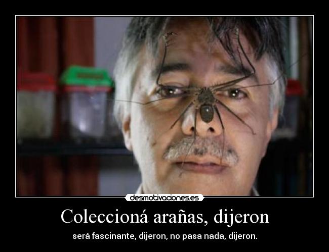 Coleccioná arañas, dijeron -