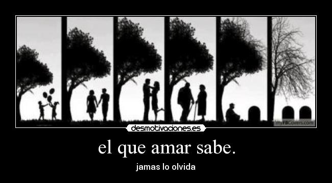 carteles que amar sabe desmotivaciones