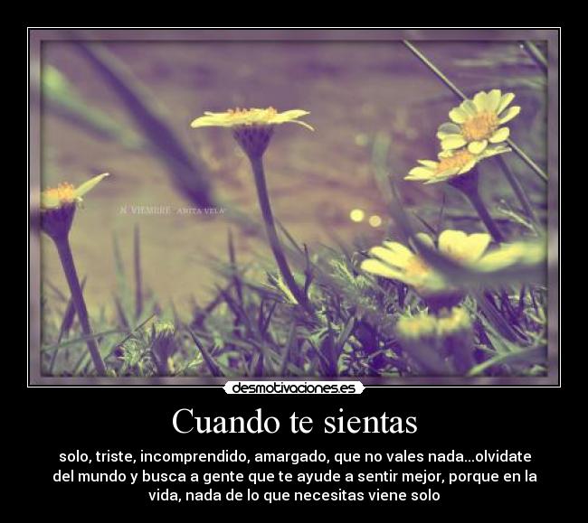 Cuando te sientas - solo, triste, incomprendido, amargado, que no vales nada...olvidate
del mundo y busca a gente que te ayude a sentir mejor, porque en la
vida, nada de lo que necesitas viene solo