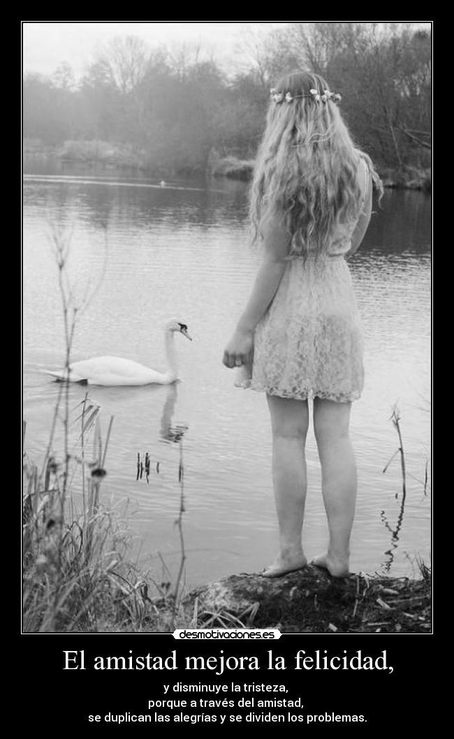carteles amistad felicidad felicidad desmotivaciones