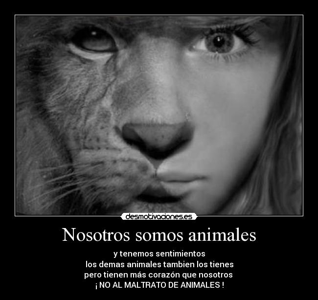 Nosotros somos animales - y tenemos sentimientos
los demas animales tambien los tienes
pero tienen más corazón que nosotros
¡ NO AL MALTRATO DE ANIMALES !