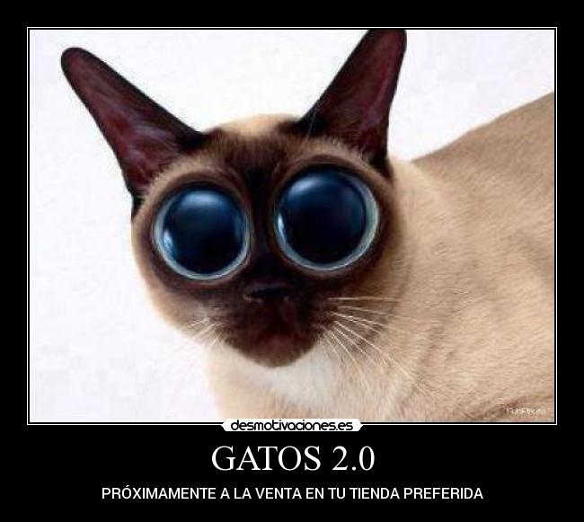 GATOS 2.0 - PRÓXIMAMENTE A LA VENTA EN TU TIENDA PREFERIDA