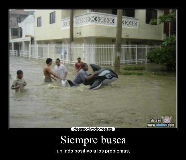 carteles positivo siempre orca desmotivaciones