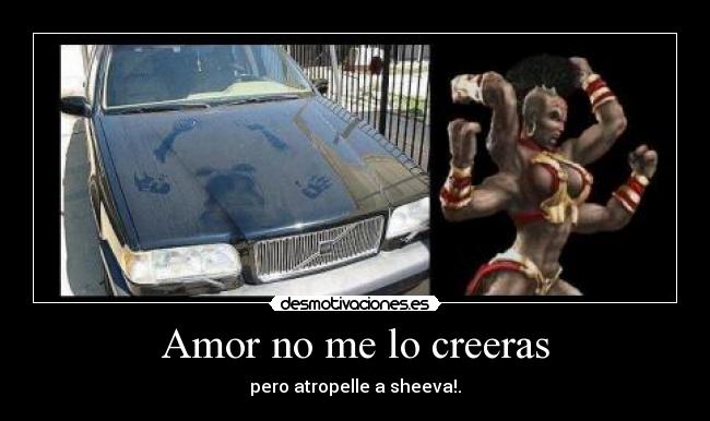 Amor no me lo creeras - pero atropelle a sheeva!.