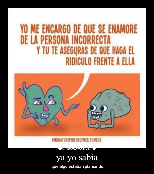 ya yo sabia - que algo estaban planiando