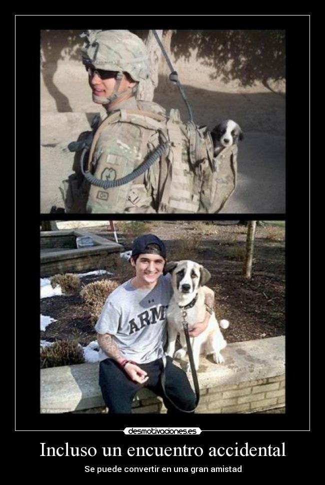 Incluso un encuentro accidental - Se puede convertir en una gran amistad